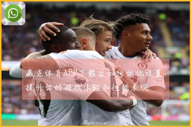 赢点体育APP下载后如何优化设置，提升你的游戏体验和性能表现