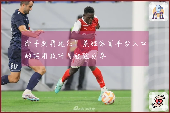 新手别再迷茫！熊猫体育平台入口的实用技巧与经验分享