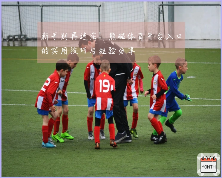新手别再迷茫！熊猫体育平台入口的实用技巧与经验分享