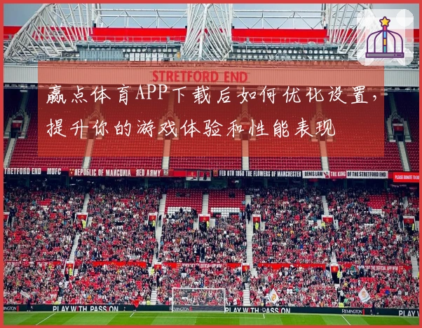 赢点体育APP下载后如何优化设置，提升你的游戏体验和性能表现